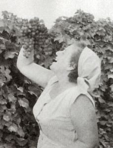 grape kibbutz